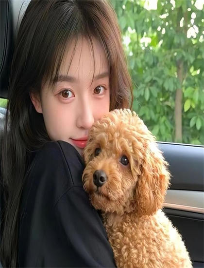 高清资源：《恐龙计划》导演手法心理解析感人至深的：艺术风格与技术特点分析